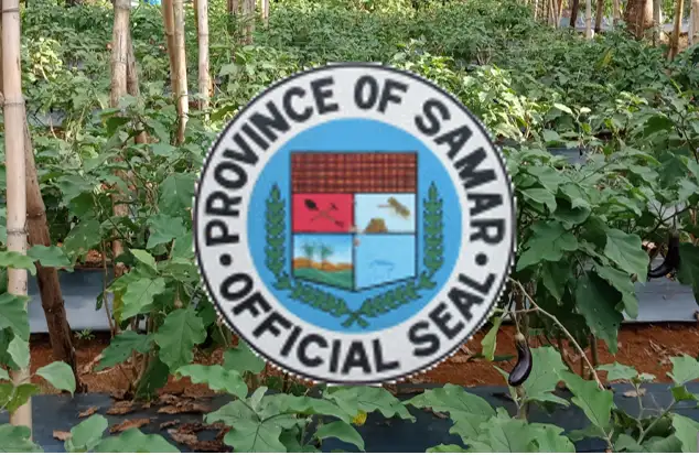 18M Project to Improve Nutritional Status Among School Children in Samar Province Image 1