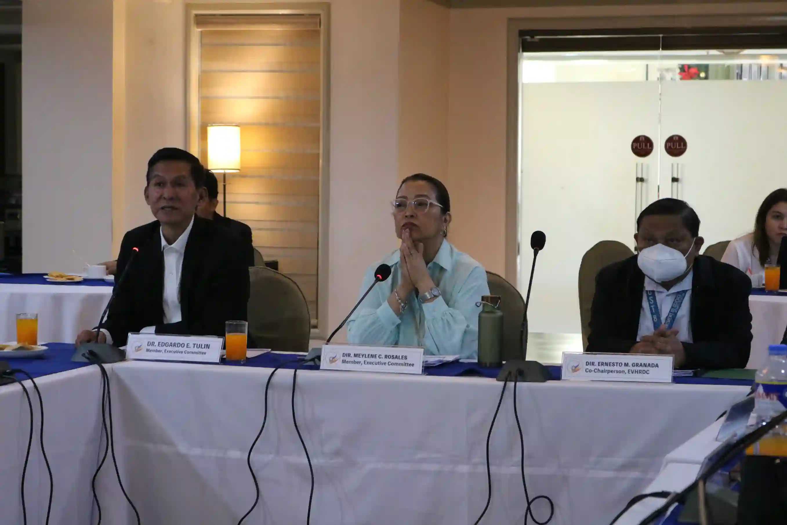 EVHRDC Conducts 1st Quarter Executive Committee Meeting and Tribute to the Co-Chairperson of the Consortium and Regional Director of DOST VIII, Engr. Ernesto M. Granada Image 1