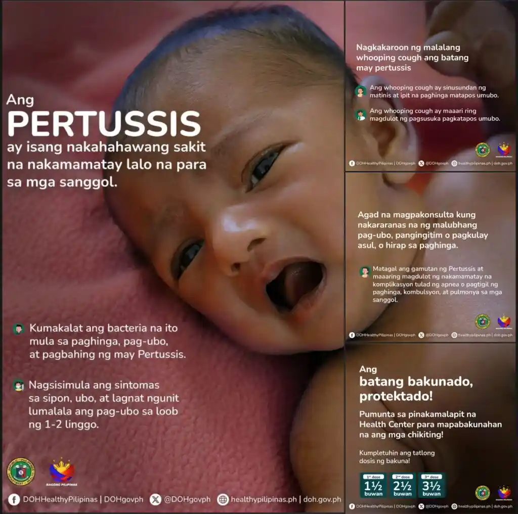 Fighting pertussis outbreak through vaccination Image 2