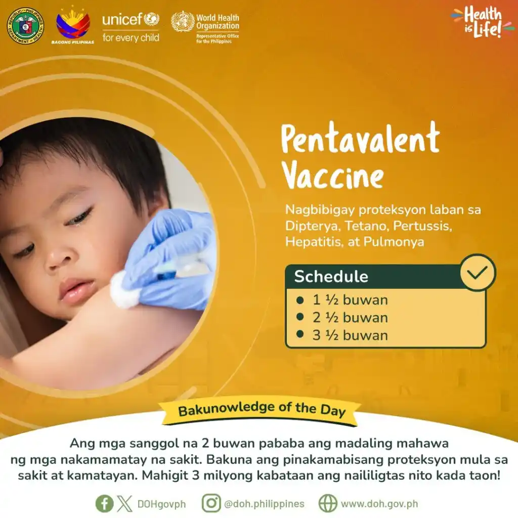 Fighting pertussis outbreak through vaccination Image 3