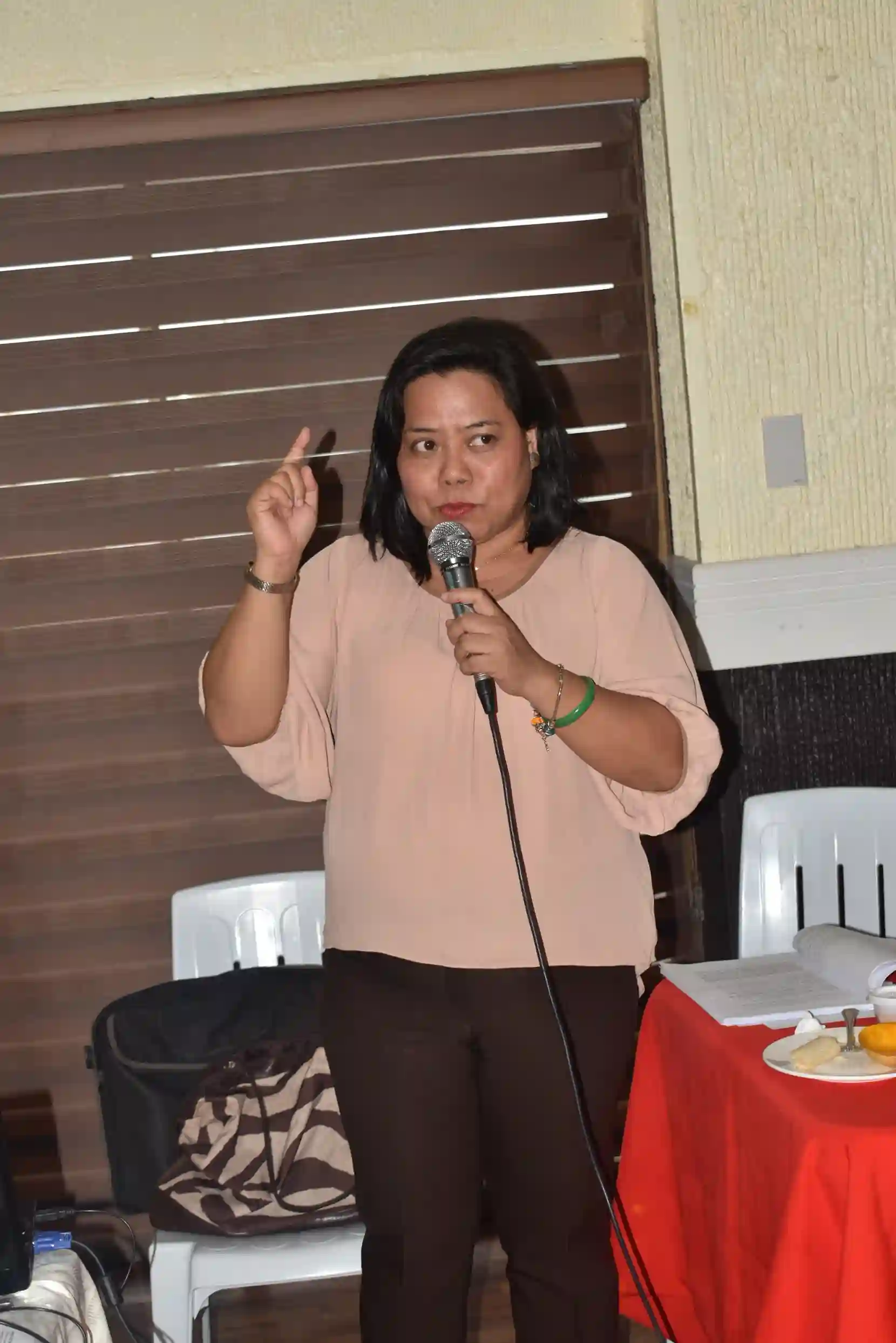 Writeshop on the Development of Eastern Visayas Health Research and Development Consortium Manual of Operations Image 4